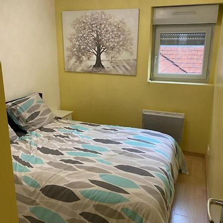 Bel Appartement Coeur De Ville Chalon-sur-Saône Eksteriør bilde